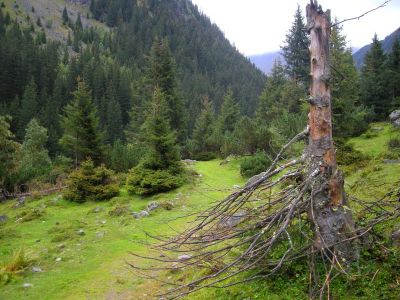 014-Auf dem Wanderweg durch das Puetzbachtal